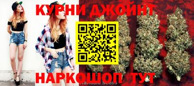 гашик Нарткала