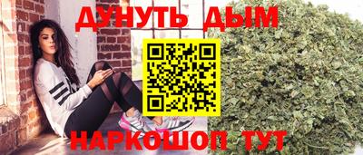крисы Нальчик
