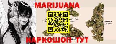 крисы Нальчик