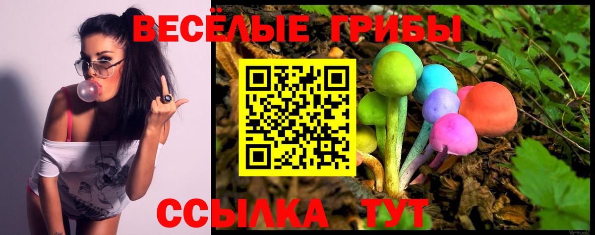 Псилоцибиновые грибы Psilocybine cubensis  Галлюциногенные грибы MAGIC MUSHROOMS  Вход с VPN  Шелехов 