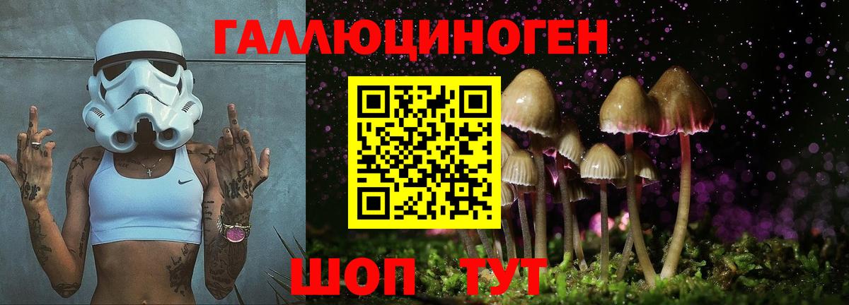Галлюциногенные грибы Magic Shrooms Шелехов